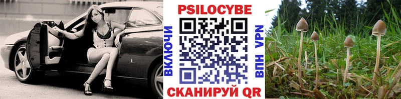 shop какой сайт  kraken сайт  Галлюциногенные грибы MAGIC MUSHROOMS  Нолинск  где купить наркоту 